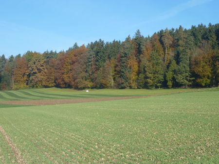 P1000377